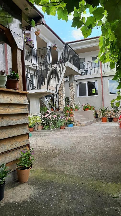 Bcm Family House Otel Două Mai Dış mekan fotoğraf